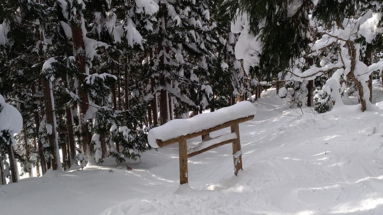 Отель Nozawa Dream Экстерьер фото