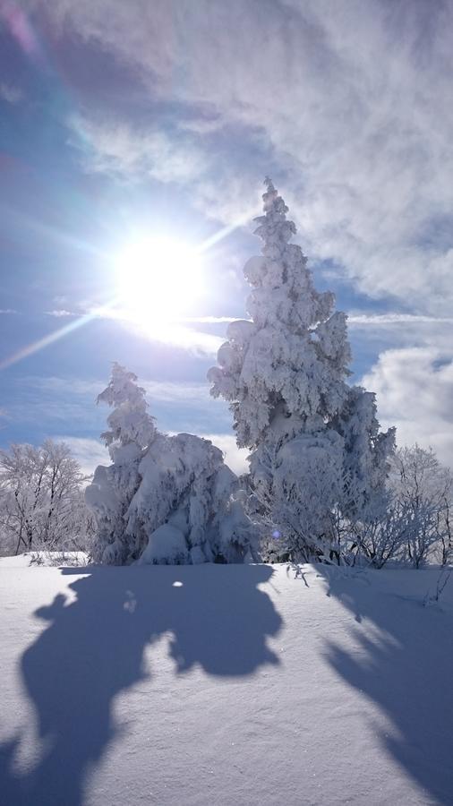 Отель Nozawa Dream Экстерьер фото